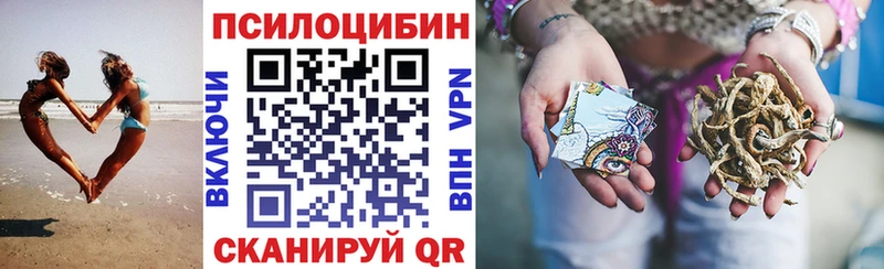 Псилоцибиновые грибы мухоморы сайты даркнета наркотические препараты Ясный